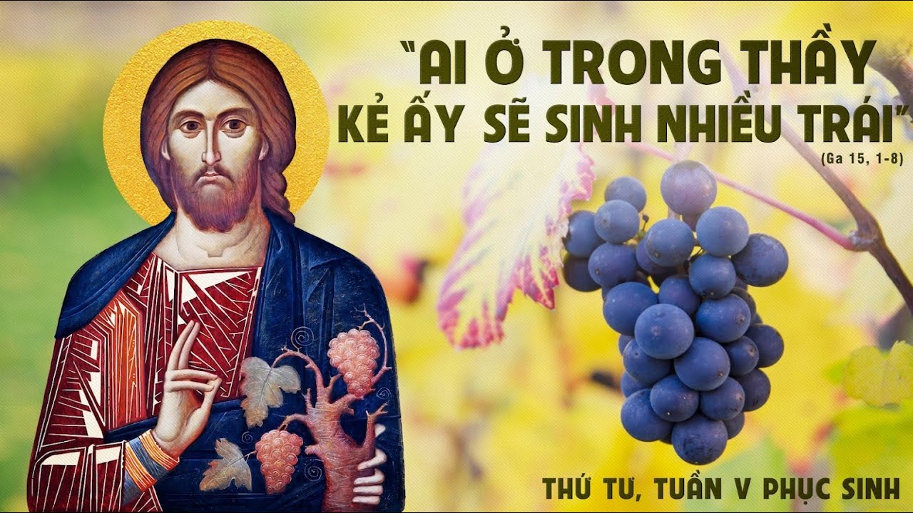 Thứ Tư Tuần 5 Phục Sinh - Năm A